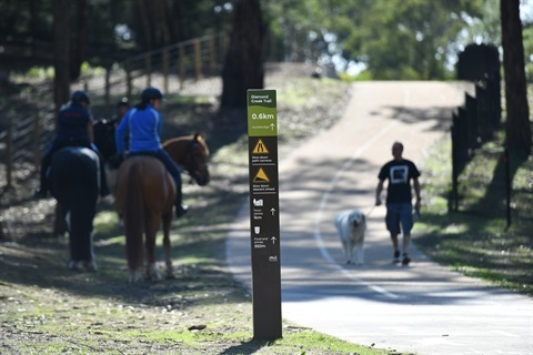 Horse riders and dog walkers enjoy the Diamond Creek Trail on a sunny day