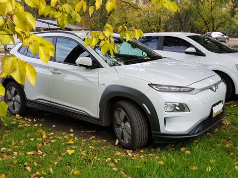 A white electric vehicle is parked under a leafy tree