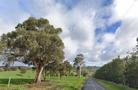 This is a photograph of Chapel Lane in Nillumbik