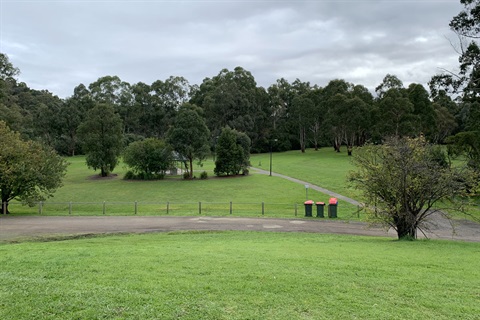 An open area with a dirt track going through surrounded by trees