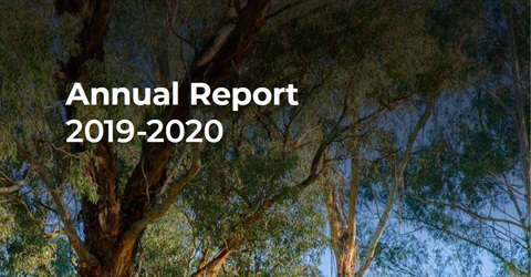 annual report image.JPG