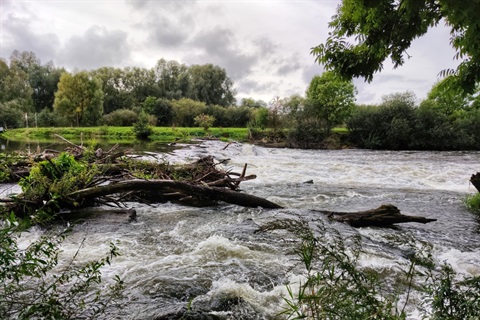 Photo of a flooded river