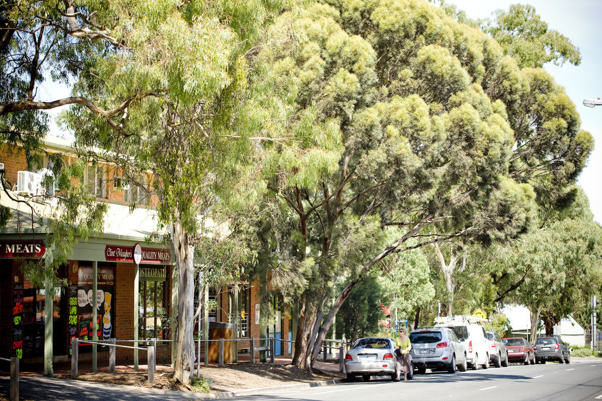 Hurstbridge-township.jpg