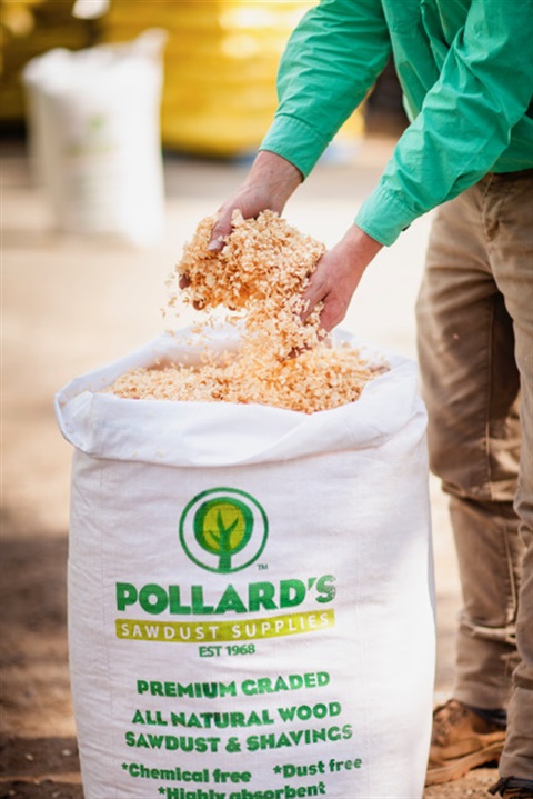A photo of a large white sack of sawdust, with Pollard's logo showing. A person standing next to the sack is holding the sawdust out the bag.