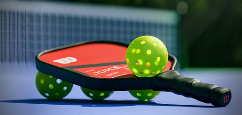 Pickle ball image.jpg