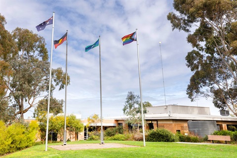 Civic-Centre-flags.jpg