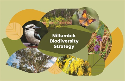 NillumbikSC_BiodiversityStragegy_Key Graphic_Version 2-2024_A3_CMYK_FA.jpg