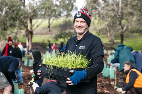 A man holds a tray of plant seedlings, in the background people are actively planting