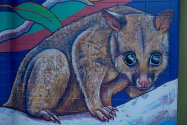 Mural-by-Hayden-Dewar-2.jpg