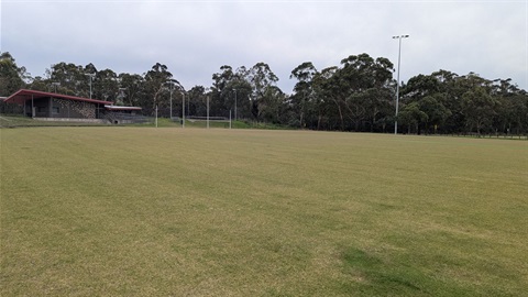 PXL_20250123_030144895.jpg