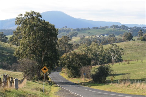 COTTLES BRIDGE-STRATHEWEN ROAD COTTLES BRIDGE 3099.jpg