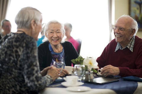 Seniors Festival Lunch 2023.jpg