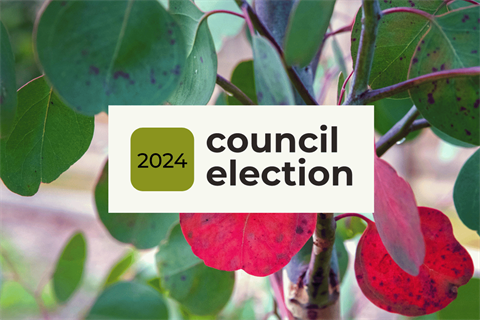 2024 Council Elections