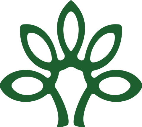 Logo-transparent