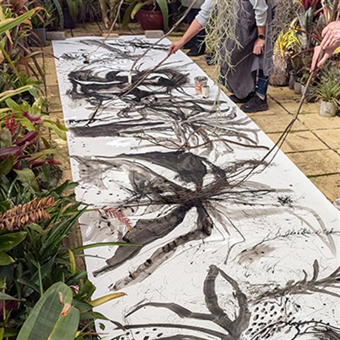 A long roll of paper is on the floor of a greenhouse being painted images of plants by many painters with sticks and black wash.  They are surrounded by plants.